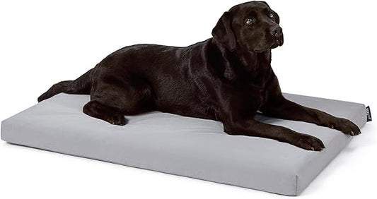 Cybarmour Indestructible Dog Bed - Outdoor Waterproof Chew Proof Dog Crate Pad - Orthopedic Kennel Mat for Aggressive Chewers - Large Breeds & Fits 42-Inch Crate - 41"x27", Limestone-PawvioPets