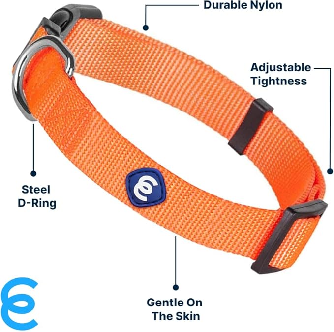 Blueberry Pet X-Small Dog Collar | Girl Dog Collars | Female Dog Collar XS | Quick Release Dog Collar | Florence Orange Nylon Dog Collar for Girl, Collar for Small Dogs-PawvioPets