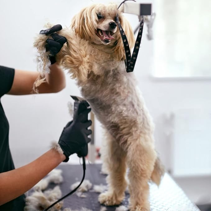 Dog Grooming Clipper Replacement Blades Compatible with Andis Pet Clipper/Oster A5/Wahl KM Series Dog Clipper,Ceramic Blade & Stainless Steel Blade(10+30+7FC+5FC)-PawvioPets