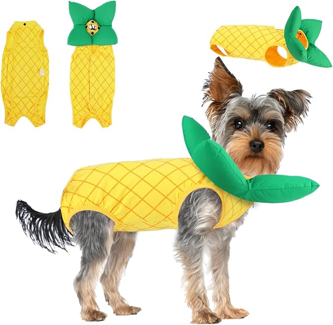 EMUST 2PCS Cat Recovery Suit & Cat Cone Collar Female, Soft & Adjustable Dog Surgery Suit Female Spay for Abdominal Wounds, Cotton Cone for Cats to Stop Licking for Small Female Pets 8-16lb, Yellow, L-PawvioPets