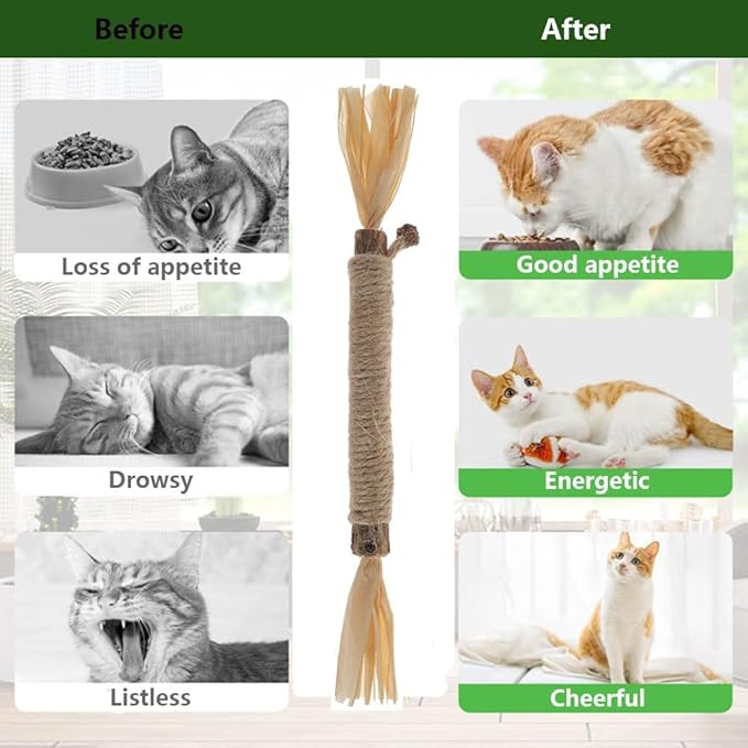 5 PCS Silvervine Sticks for Cats - Natural Cat Chew Toys for Teeth Cleaning, Kitten Teething & Aggressive Chewers-PawvioPets