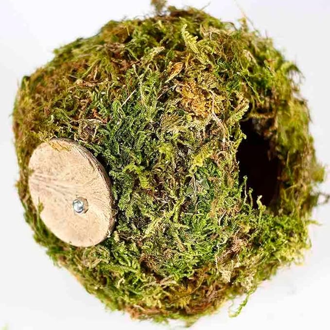 Coconut Hamster Hideout Hamster House Gerbil Cage for Small Animals with a Bundle of Apple Sticks a Carrot (Yellow)-PawvioPets