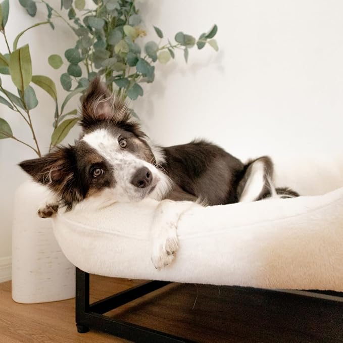 FUZI Luxury Aesthetic Dog Bed with Extra Cover for Large Dogs, Washable Pet Couch, Pet Bed with Sides, Non-Slip Bottom, Soft and Durable Calming Dog Bed, Faux Fur, Large 35.6x28.5x9.5 Soft White-PawvioPets