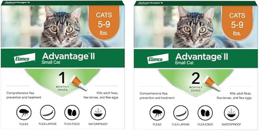 Advantage II Small Cat Vet-Recommended Flea Treatment & Prevention | Cats 5-9 lbs. | 3-Month Supply-PawvioPets