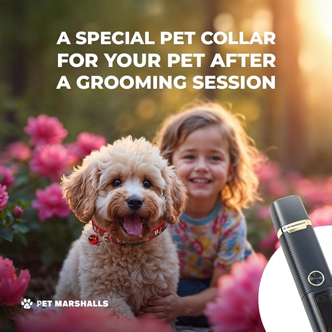 3-in-1 Cat & Dog Nail Grinder with Clipper & File, Quiet LED Trimmer, 3-Speed Pet Grooming Tool, Rechargeable 2000mAh Battery-PawvioPets