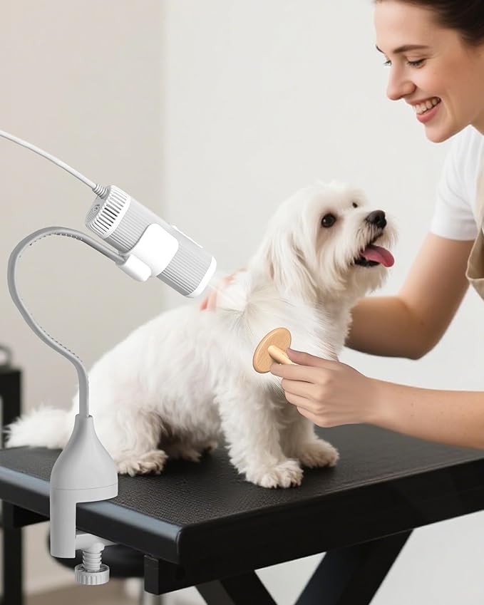 2-in-1 Hands-Free Dog Hair Dryer with Table Clamp – Low Noise Pet Grooming Dryer for Dogs & Cats, Adjustable Heat & Speed, Wearable or Desktop Use(Gray)-PawvioPets