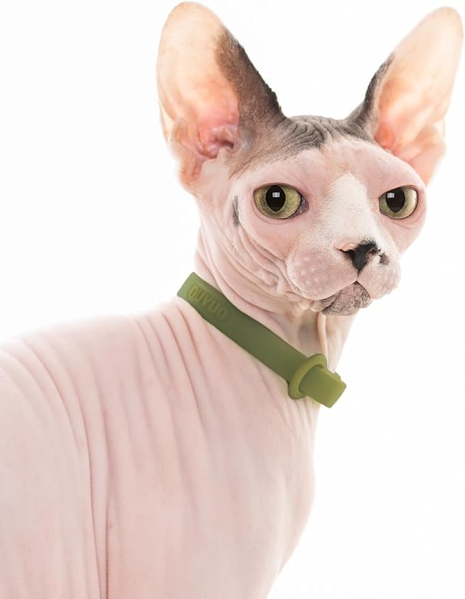 Breakaway Cat Collar - Soft, Comfortable, and Lightweight Safety Buckle Collar with Name Tag Ring for Outdoor Cats and Sensitive Skin Kittens by Nuvuq (6 ⅞" to 10 ¼", Green)-PawvioPets