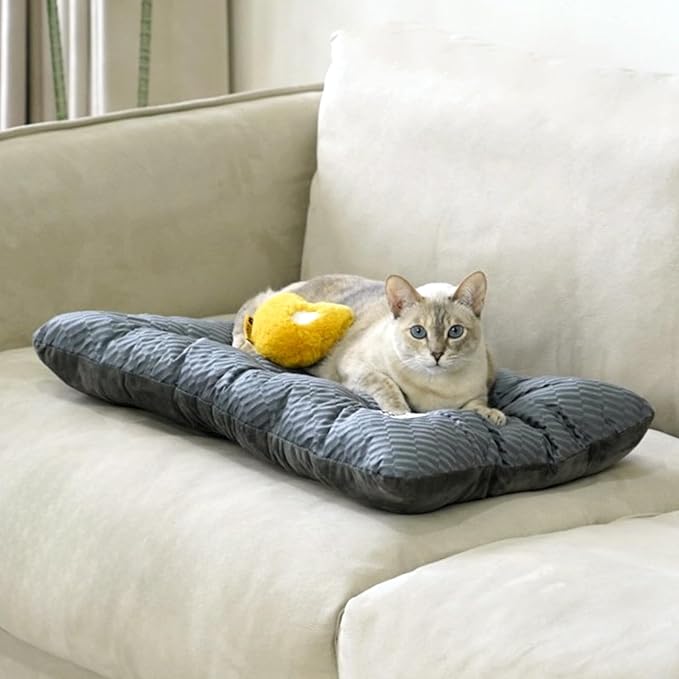 FUNNY FUZZY 24x18 Washable Dog Bed Reversible Crate Mat, 2 in1 Orthopedic Puppy Bed for Small Dogs/Cats, Fluffy Deluxe Kennel Mattress,Sleeping Pad,Charcoal Grey,S-PawvioPets