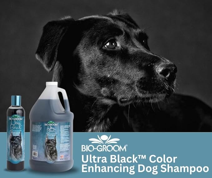 Bio-Groom Ultra-Black Dog Shampoo – Color Enhancing Pet Shampoo, Dog Bathing Supplies, Puppy Wash, Dog Grooming Supplies, Cruelty-Free, Made in USA, Coat Brightener Shampoo – 12 fl oz 1-Pack-PawvioPets