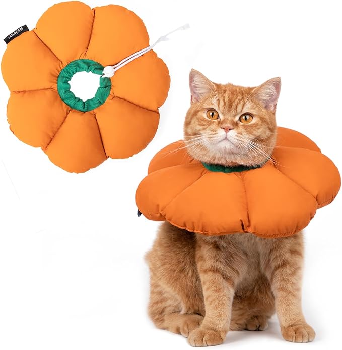 Cute Waterproof Cat Recovery Collar - Anti-Bite Lick Wound Healing Safety Elizabethan Collar - Orange Pumpkin Cat Halloween Costume-PawvioPets
