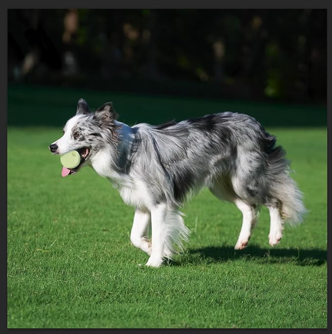 Amazon Basics Dog Toys, Interactive Glow Rubber Balls, (Pack of 3), 2.5 inch, Beige-PawvioPets