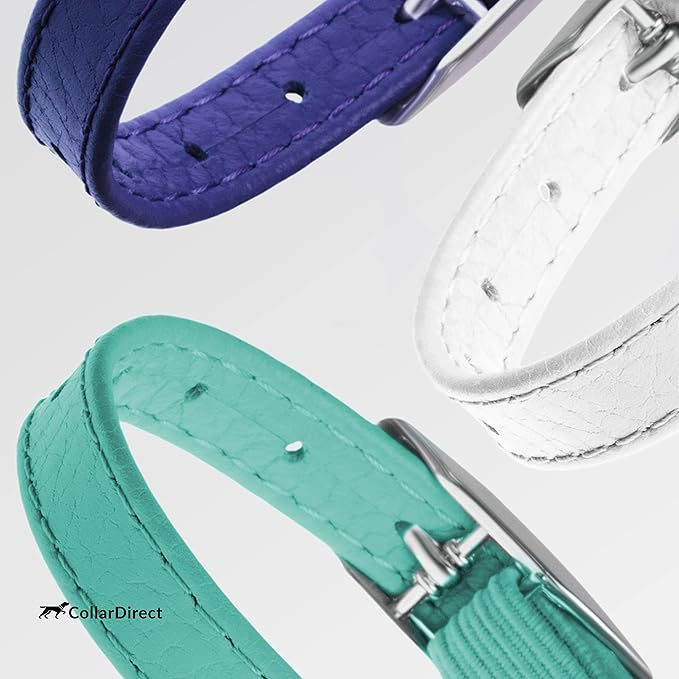 CollarDirect Leather Cat Collar, Kitten Collar with Removable Bell Black Blue Red Orange Lime Green (8-11 Inch, Purple)-PawvioPets