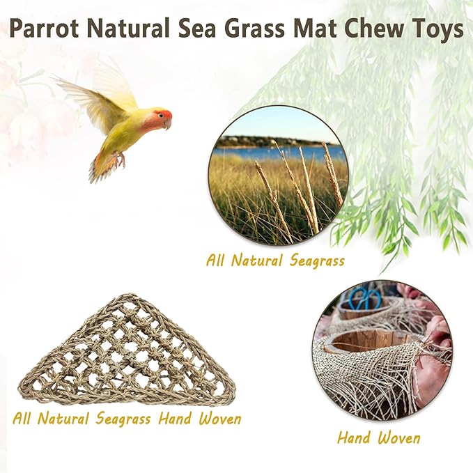BNOSDM Bird Seagrass Mat, 3 PCS 7.1 x 7.1 Inches Parrot Natural Seagrass Woven Bird Net Hammock Mats Chew Toys Bird Hideout Cage Accessories for Lovebird Cockatiel Conure Budgie Hamster Rats-PawvioPets