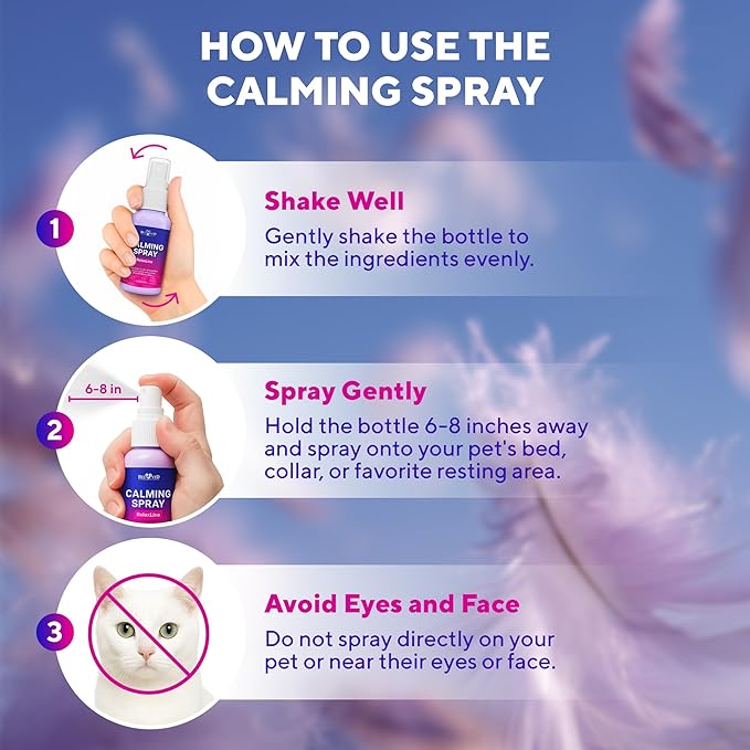 Calming Pheromone Spray & Scratch Repellent for Cats - Reduces Scratching Furniture, Pee - During Travel, Fireworks, Thunder, Vet Zone - Helps with Stress, Fighting, Hiding (100 ml (2 pack))-PawvioPets