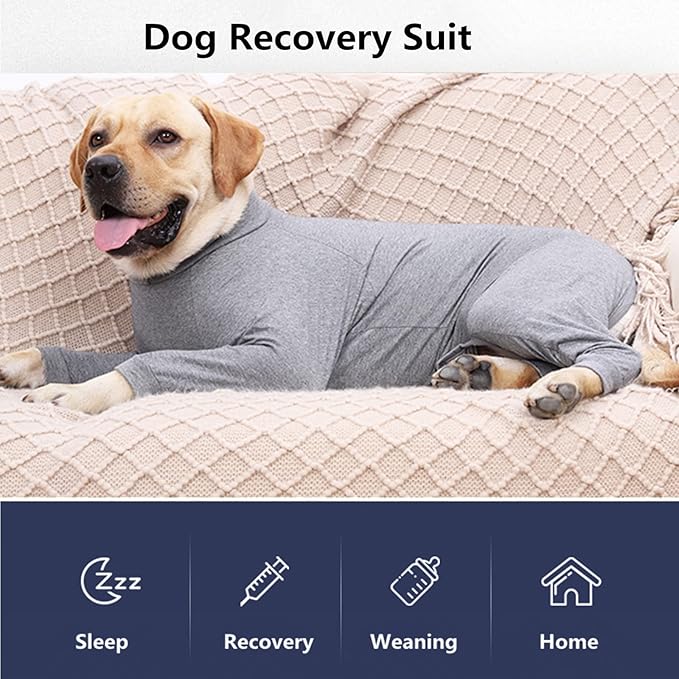 Dog Recovery Suit, Abdominal Wound After Surgery Wear, Prevent Licking Wounds, E-Collar & Cone Alternatives, Long Sleeve Postoperative Shirts Dog Bodysuit Prevent Shedding(Medium, Grey)-PawvioPets