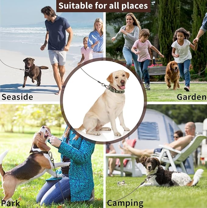 Dog tie Out Cable, 10/20/25/30/50/70/100 feet, Suitable for Dogs up to 350 pounds, Dog Cable with Swivel Buckle, Lightweight, Non-Winding, for Outdoor Camping, Yard Dog Cable (Black, 30FT)-PawvioPets