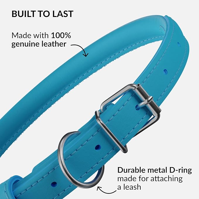 CollarDirect Rolled Leather Dog Collar, Soft Padded Round Puppy Collar, Handmade Genuine Leather Collar Dog Small Large Cat Collars 13 Colors (18-22 Inch, Light Blue Smooth)-PawvioPets