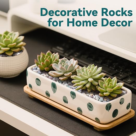 2.5 lbs Natural Pea Gravel Pebbles for Aquarium, Fish Tank, 3/8 inch Decorative Pebbles for Indoor Plants, Succulent, Bamboo, Vase, Drainage Rocks for Potted Plants, Top Dressing, Mixed Color-PawvioPets