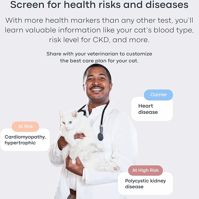 Basepaws Cat DNA Test Kit 2 Pack- Comprehensive Breed, Health and Dental Analysis Across 114 Traits for Accurate and Easy-to-Use Genetic Insights-PawvioPets
