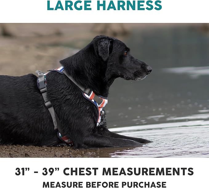 Embark Adventure Dog Harness, Reflective Trim No Pull Dog Harness for Large Dogs - Military Grade Nylon, Front Clip with Gel Lined Handle.-PawvioPets