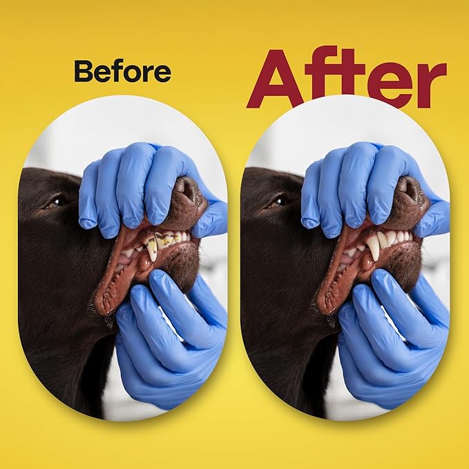 DOCO Dog Teeth Cleaning Wipes Dental Finger Wipes for Cats & Dogs Remove Plaque & Tartar, Freshen Breath, No Rinse, Easy & Effective Pet Tooth Cleaning Kit for Oral Care, Chicken Flavor, 50 Count-PawvioPets