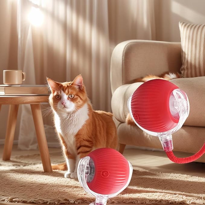 Electric Cat Toy - Automatic Rolling cat Toy with Motion sensors, Designed for Indoor Cats, Suitable for Solo Play (USB Rechargeable) (Red)-PawvioPets