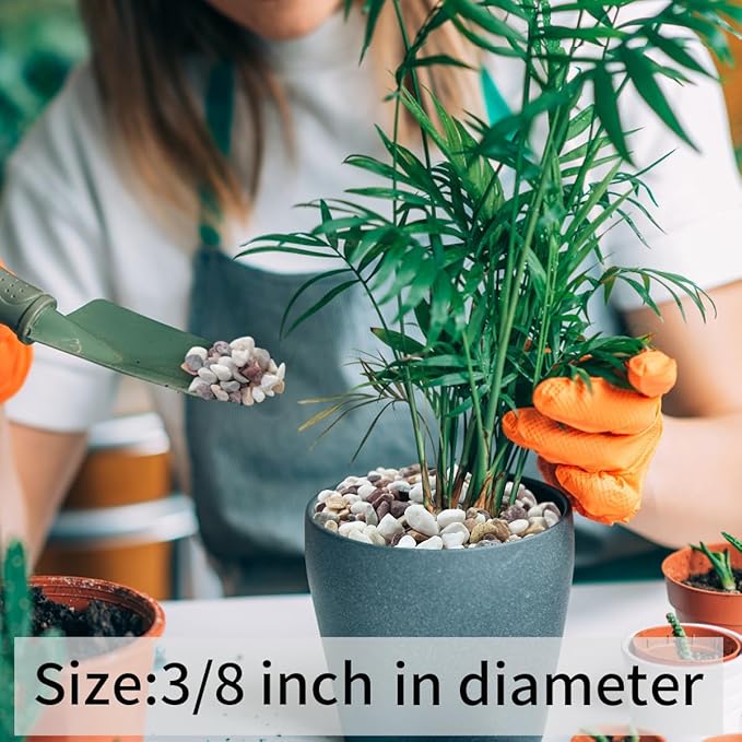 5 lbs Natural Mixed Color Gravel Pebbles, 3/8 Inch Decorative Succulent Rocks Pebbles for Plants, Stones for Vase, Landscaping and Outdoor Garden Decorative River Rock-PawvioPets