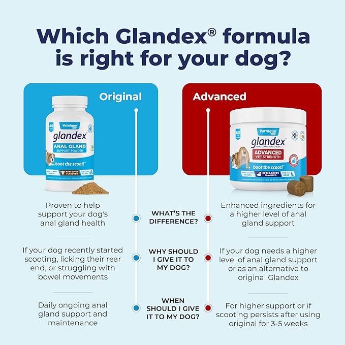 Glandex Dog Fiber Supplement Powder for Anal Glands with Pumpkin, Digestive Enzymes & Probiotics - Vet Recommended (Regular or Advanced Strength) - Boot The Scoot (5.5 oz, Vegan Salmon)-PawvioPets