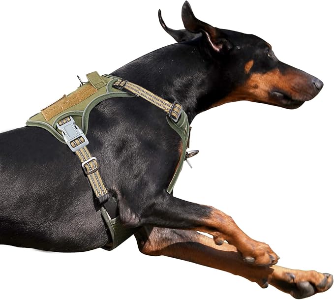 BUMBIN Tactical Dog Harness for Large Dogs, No Pull, Reflective, Green, L(Neck:19-25", Chest:21-35")-PawvioPets