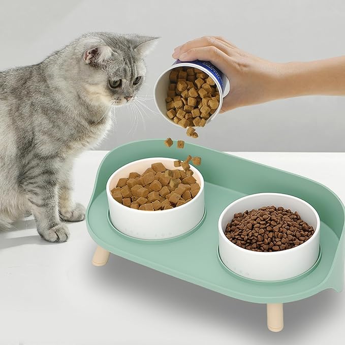 Elevated Dog Bowls Set, Ceramic Pet Food & Water Bowls with Non-Slip Stand, No Spill Design for Cats/Small Medium Dogs Green-PawvioPets