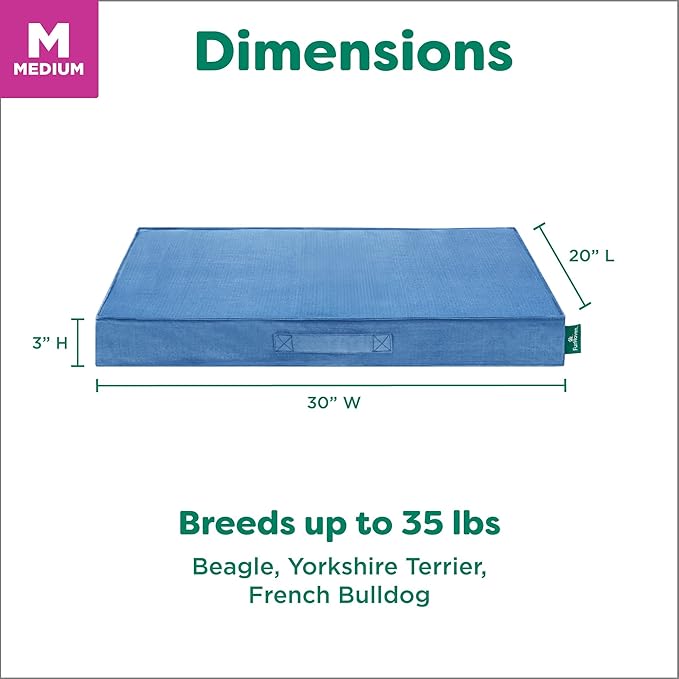 FurHaven Cooling Dog Bed – Medium Foam Mattress for Joint Pain Relief, Waterproof Liner, Removable Washable Cover, Durable for Outdoor Use, Deluxe Grid Indoor/Outdoor Bed – Blue, Medium-PawvioPets