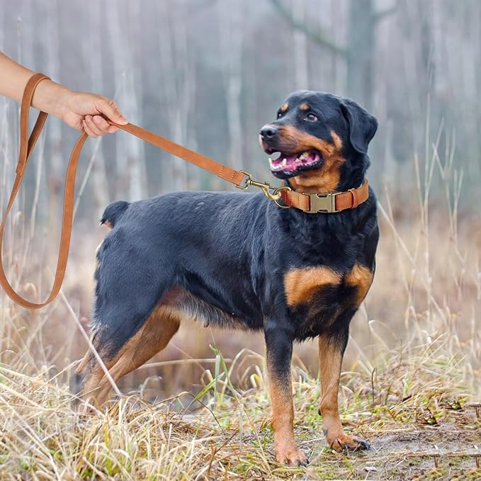 Didog Soft PU Leather Dog Collar, Stylish Quick Released Dog Collars for Large Dogs, Easy Clean Adjustable Pet Collar for Daily Walking, Light Brown, XL Fit 17-27" Neck-PawvioPets