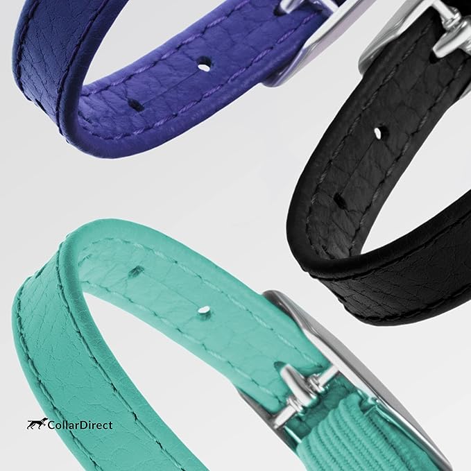 CollarDirect Leather Cat Collar, Cat Safety Collar with Elastic Strap, Kitten Strap with Bell Black Blue Red Orange Lime Green (6-7 Inch, Black)-PawvioPets