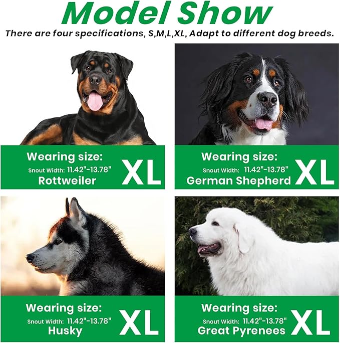 Dog Muzzle, Basket Muzzle for Small Medium Large Dogs, Anti-Biting and Chewing, Lightweight & Sturdy Cage Design, Allows Panting & Drinking, Ideal for Grooming & Training(Green Size XL)-PawvioPets