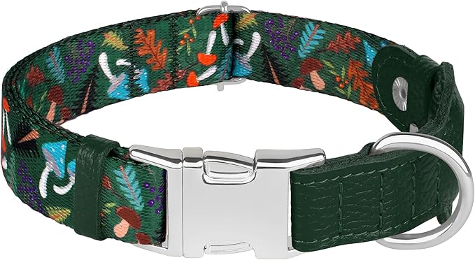 AirTag Dog Collar for Small Medium Large Breed - Adjustable Cute Pattern Dog Collar with Airtag Holder - Soft Leather Tracker GPS Apple Air Tag Pet Collars (Medium, 14"-18" Neck Fit, Mushroom)-PawvioPets
