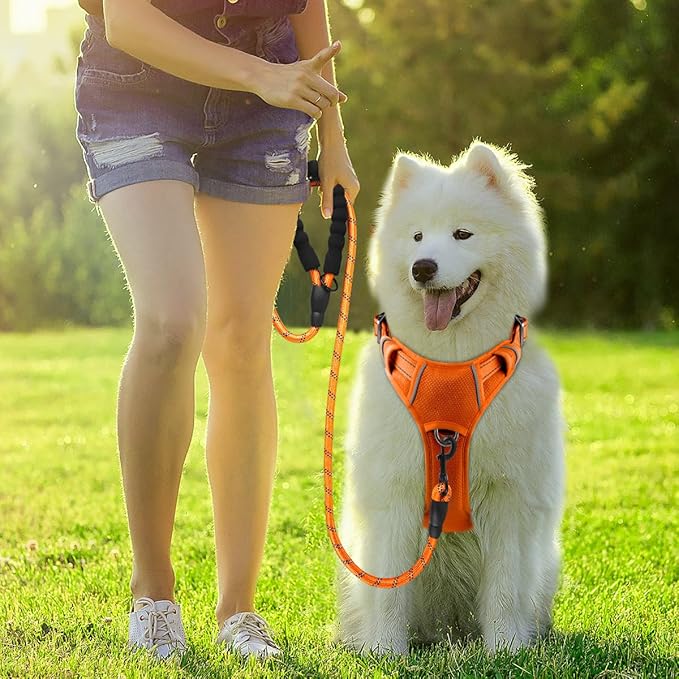 BARKBAY Dog Harness No Pull with ID Tag Pocket - Heavy Duty, Reflective, Easy Control for Large Dogs(Orange,XL)-PawvioPets