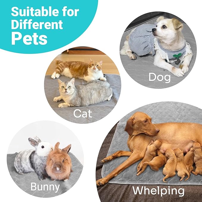 Conkote Reusable Pee Pads for Dogs Extra Large 48" x 60", Heavy Absorbency Washable Pee Pads, Waterproof & Leak-Proof Dog Training Pads Non-Slip for Pet Housebreaking, Whelping, Potty, Crate-PawvioPets