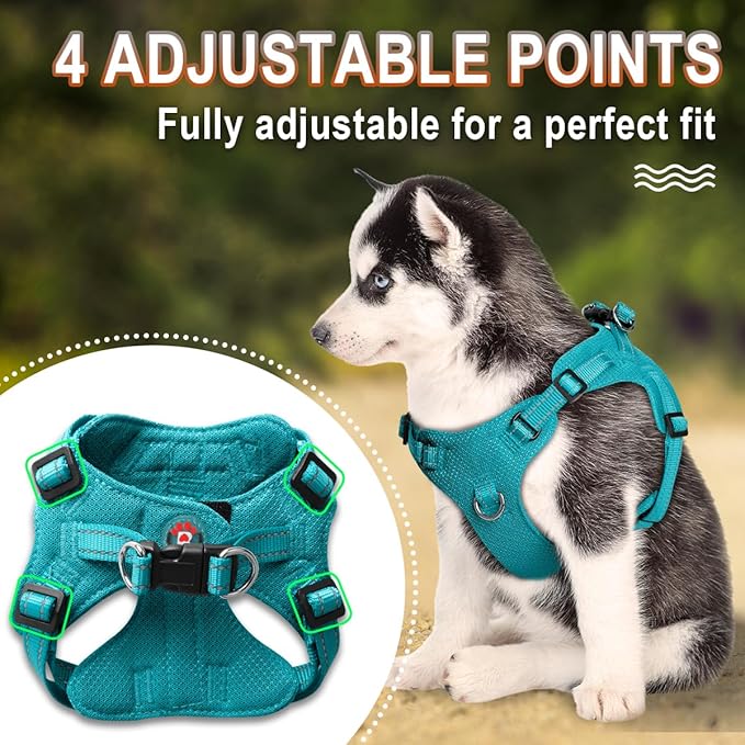 Dog Harness Step in Dog Vest Harness, Reflective Adjustable Puppy No Pull Harness Breathable Soft for Small and Medium Dogs Cats, Ocean Blue, XS-PawvioPets