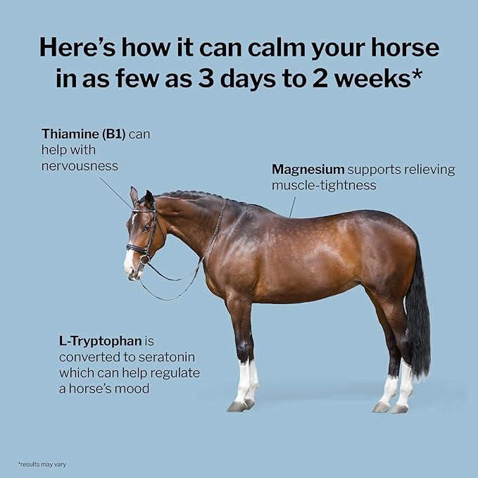 Formula 707 Calming Equine Supplement, Daily Fresh Packs – Anxiety Relief and Enhanced Focus for Horses – L-Tryptophan, Thiamine & Magnesium-PawvioPets