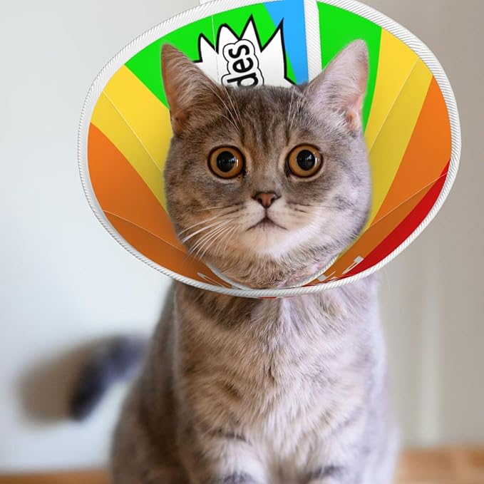 Custom Cat Cone Collar Soft Post-Surgery Comfort Pet Recovery Collar for Wound Care Adjustable Pet Donut Collar-PawvioPets