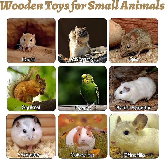 8 Pcs Wooden Hamster Cage Platform Set Wood Juvenile Chinchilla Shelves, Squirrel L-Shape Corner Ledge with Hole Cooling Standing Board Rat Cage Accessories for Gerbil Small Animal Climbing-PawvioPets