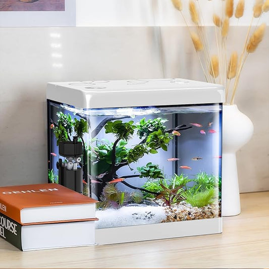 5 Gallon Glass Small Fish Tank,Betta Fish Tank with Filter and Light,White Aquarium Starter Kit.-PawvioPets