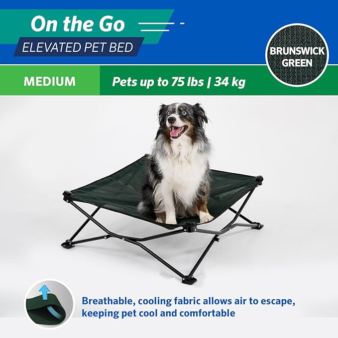 Coolaroo On-The-Go Elevated Dog Bed - Foldable Pop-Up Travel Dog Bed with Breathable, Moisture-Resistant Fabric, Carry Bag Included, Lightweight & Portable, Brunswick Green, Medium-PawvioPets
