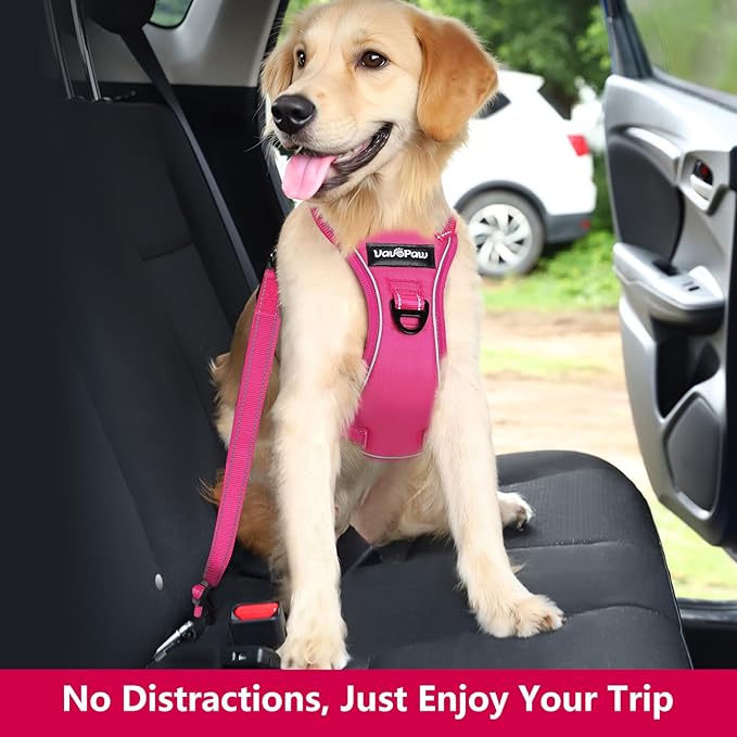 Dog Seat Belt Harness for Car, Dog Car Harness Adjustable Mesh Breathable & Dog Seatbelt Safety Tether with Elastic Bungee for Small Medium Large Pets(Rose, XL)-PawvioPets
