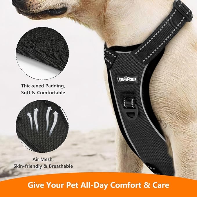 Dog Seat Belt Harness for Car, Dog Car Harness Adjustable Mesh Breathable & Dogs Seatbelt Safety Tether with Elastic Bungee for Small Medium Large Pets(Carbon Black, M)-PawvioPets