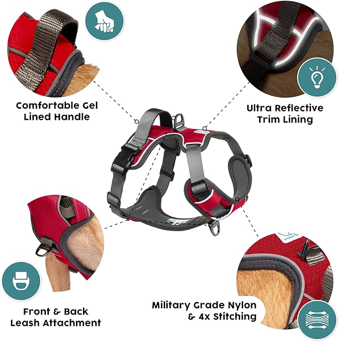 Embark Adventure Dog Harness, Reflective Trim No Pull Dog Harnesses for Small Sized Dogs - Military Grade Nylon, Front Clip with Gel Lined Handle.-PawvioPets