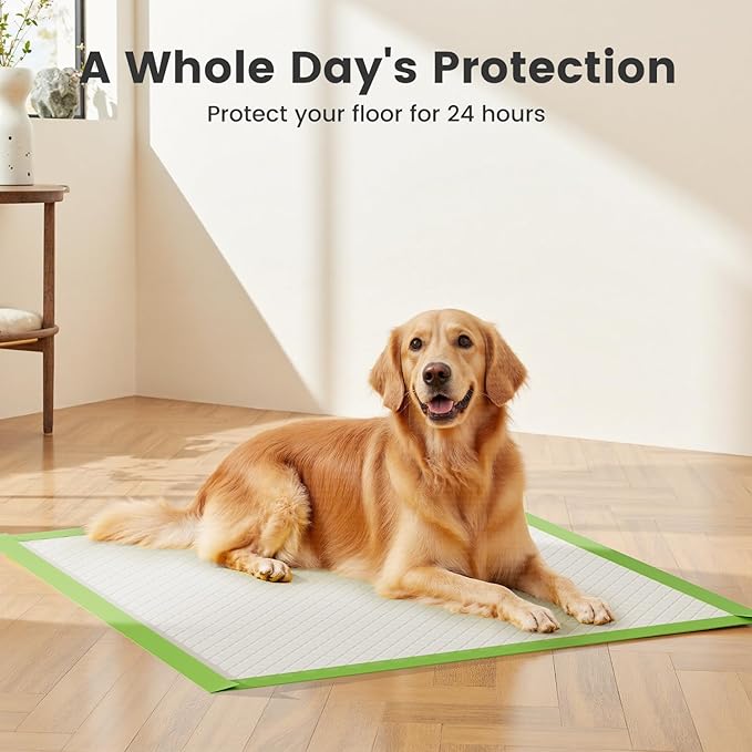 Gardner Pet Dog Pee Pads Extra Large 28"x34", XL Thicker ECO Green Disposable Puppy Training Pads Super Absorbent Full Edge-Wrapping Pad for Dogs, Puppies, Cats, Rabbits (50 Count)-PawvioPets