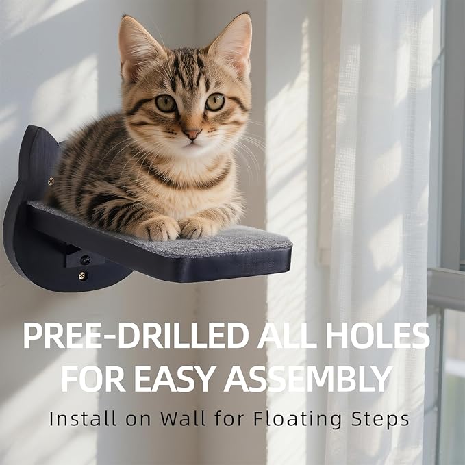 ESPETS Black Painted Solid Wood Cat Wall Climbing Steps Set of 3 - Wall Mounted Cat Floating Furniture Shelves and Perches, Sturdy Climber Stairs Ladders - Holds up 30lbs-PawvioPets