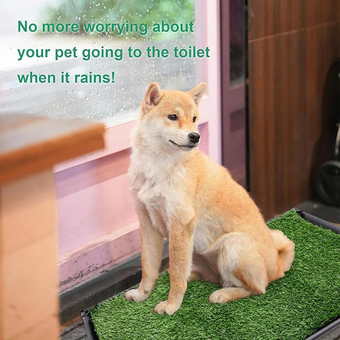 Dog Grass Pad with Tray, 35" X 23" Large Indoor/Outdoor Potty Training Pad, Durable Leak-Proof Tray and Reusable Puppy Grass Pads, Easy Clean Portable Pet Relief System for Small to Medium Dogs-PawvioPets