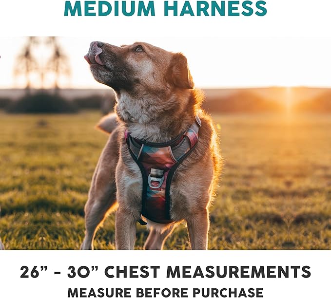 Embark Adventure Dog Harness, Reflective Trim No Pull Harness for Medium Sized Dog - Military Grade Nylon, Front Clip with Gel Lined Handle. Soft & Padded Puppy-PawvioPets